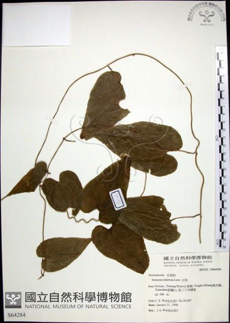 百部藏品圖，第1張