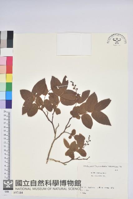 登錄號:S082184藏品圖，第1張