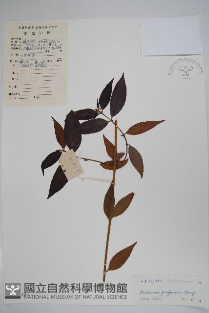 Accession Number:S041184 Collection Image, Figure 1, Total 2 Figures