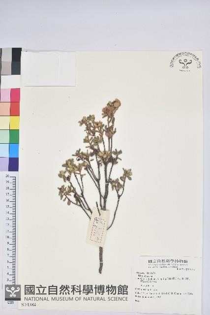 登錄號:S074384藏品圖，第1張