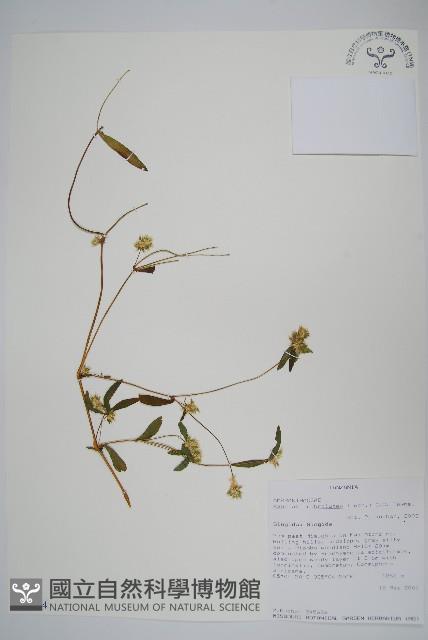 登錄號:S093384藏品圖，第1張