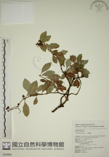 拎壁龍藏品圖，第1張