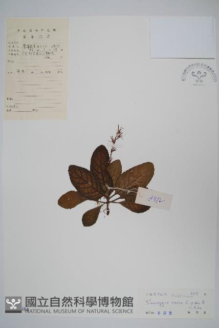 登錄號:S033984藏品圖，第1張