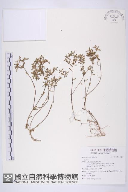 登錄號:S113629藏品圖，第1張