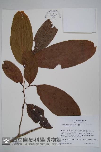 登錄號:S035229藏品圖，第1張