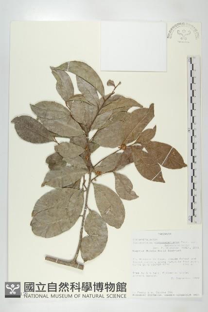 登錄號:S097129藏品圖，第1張