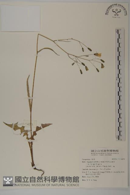 登錄號:S116829藏品圖，第1張