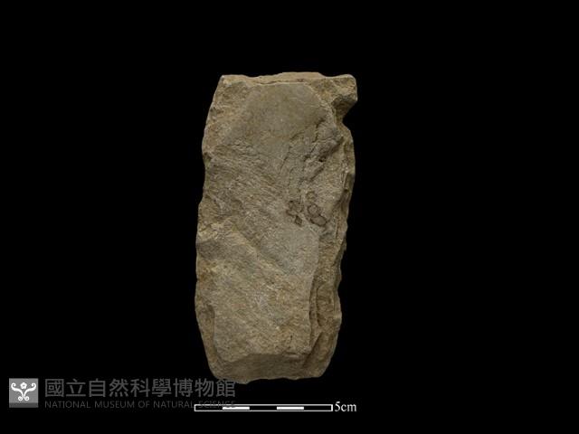 斧鋤形器藏品圖，第1張