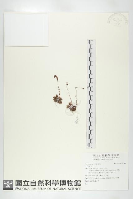 登錄號:S103309藏品圖，第1張