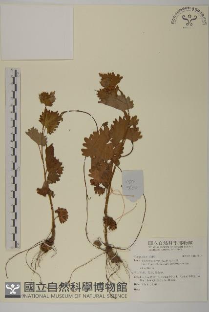 登錄號:S137019藏品圖，第1張