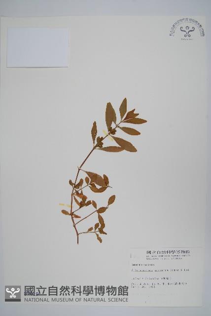 登錄號:S002419藏品圖，第1張