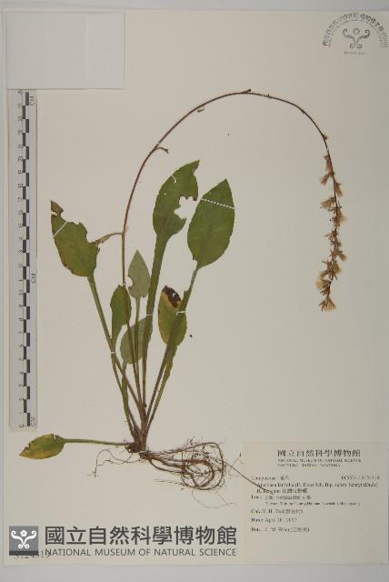 臺灣鬼督郵藏品圖，第1張