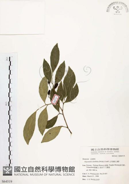 石苓舅藏品圖，第1張