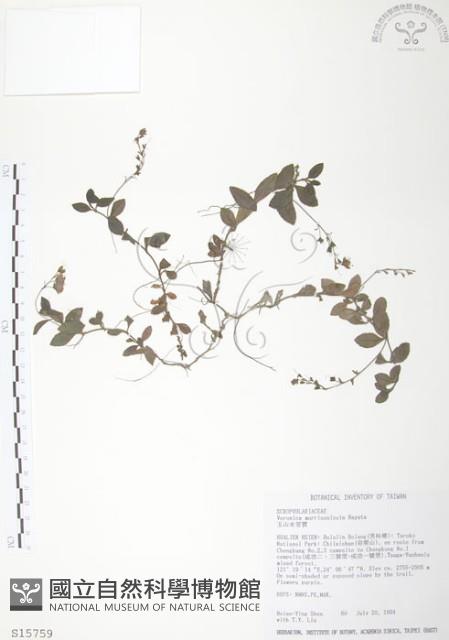 玉山水苦賈藏品圖，第1張