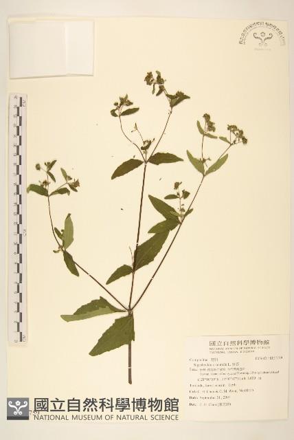 豨薟藏品圖，第1張