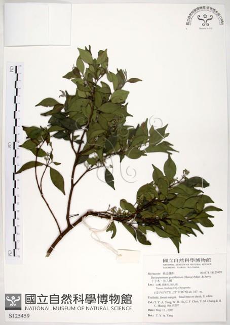 十子木、加入舅藏品圖，第1張