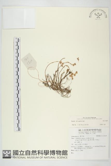 登錄號:S137459藏品圖，第1張