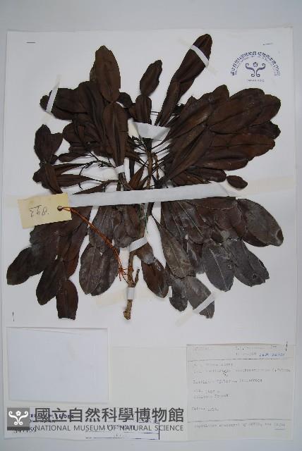 登錄號:S047159藏品圖，第1張