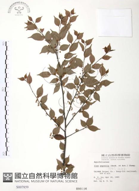 燈稱花、烏雞骨藏品圖，第1張