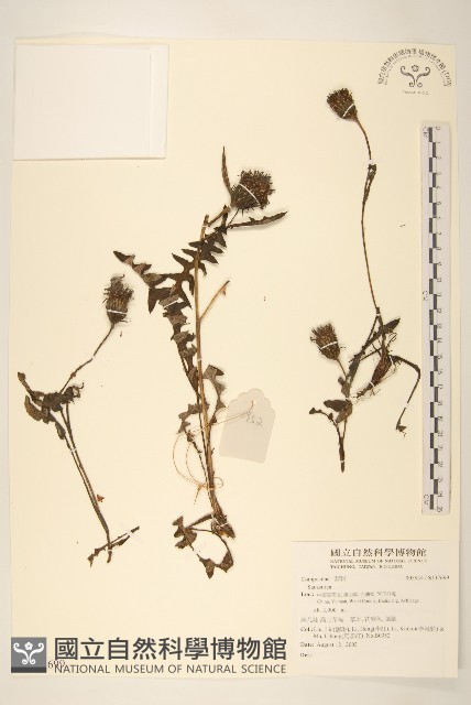 登錄號:S137699藏品圖，第1張