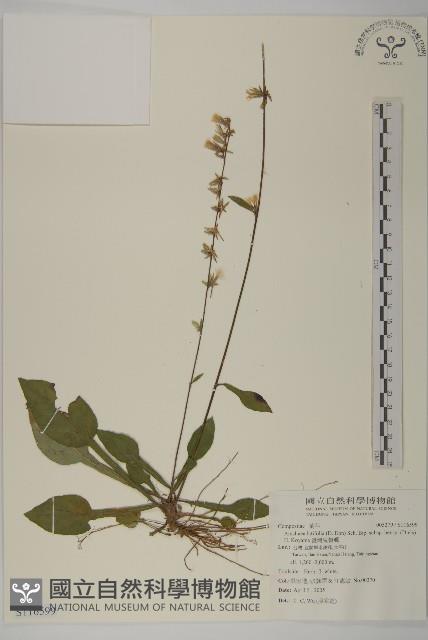 臺灣鬼督郵藏品圖，第1張