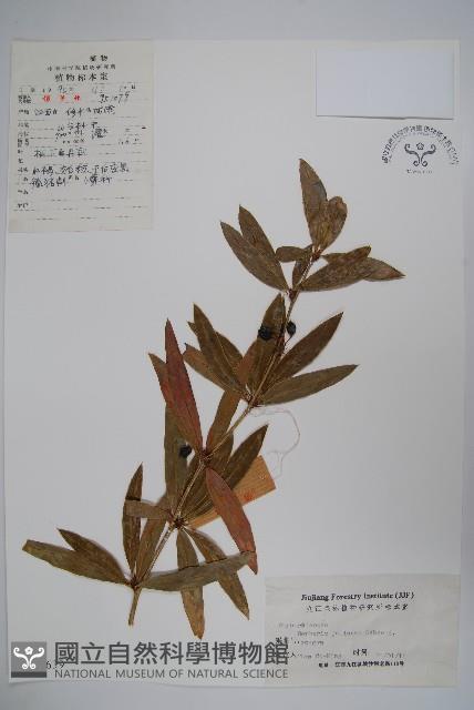 安徽小蘗藏品圖，第1張