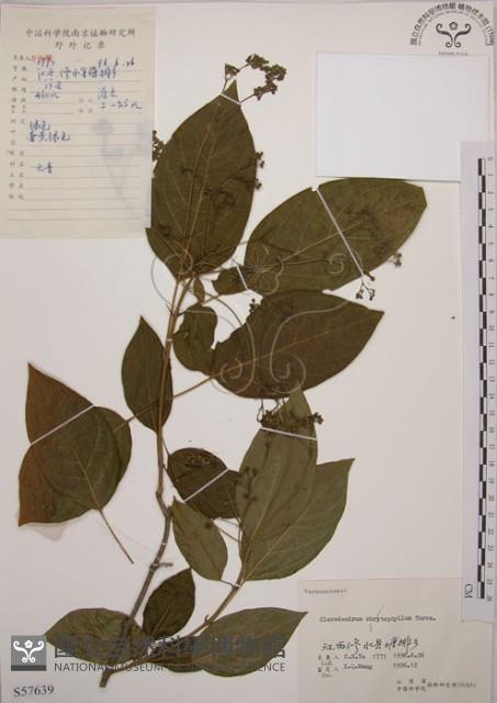 大青藏品圖，第1張