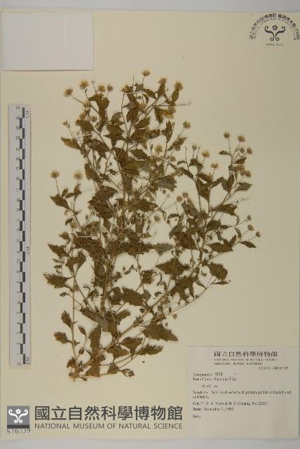 登錄號:S076739藏品圖，第1張