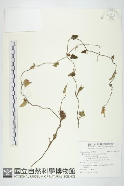 Accession Number:S113139 Collection Image, Figure 1, Total 2 Figures