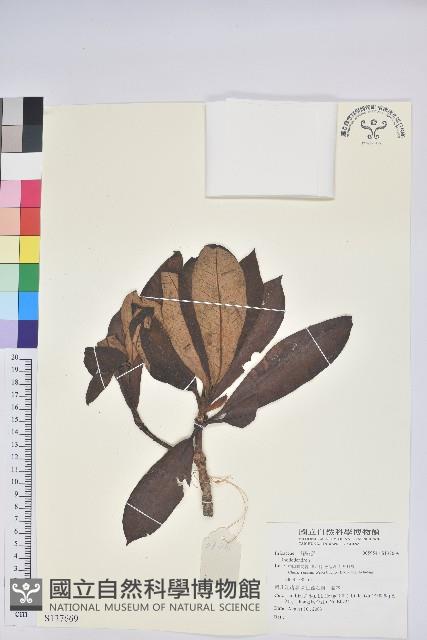 登錄號:S137669藏品圖，第1張