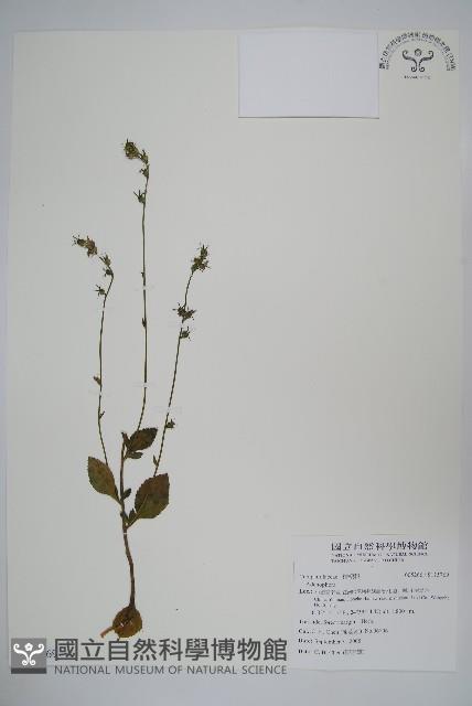 登錄號:S115769藏品圖，第1張