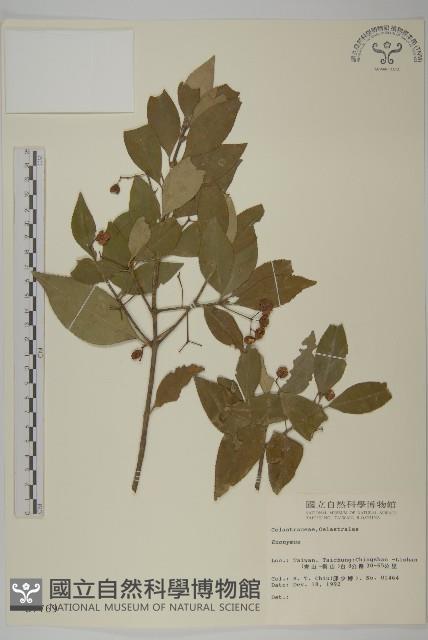 登錄號:S007769藏品圖，第1張