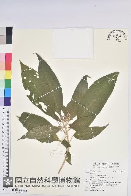 登錄號:S207049藏品圖，第1張