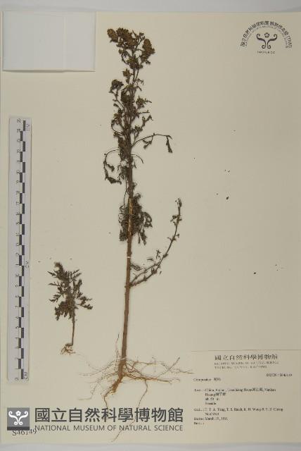 登錄號:S046149藏品圖，第1張