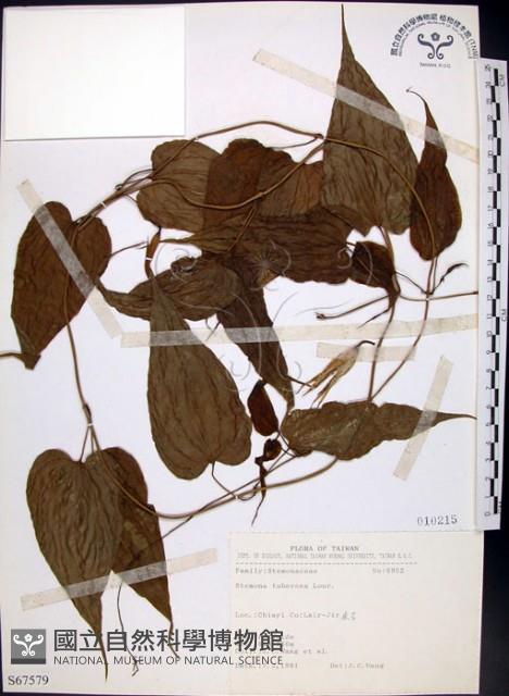 百部藏品圖，第1張