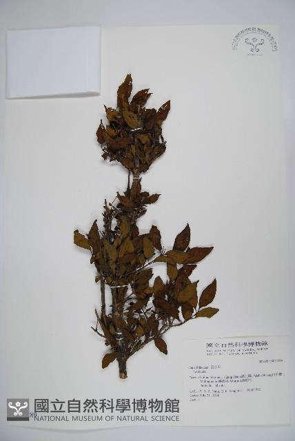 登錄號:S037289藏品圖，第1張