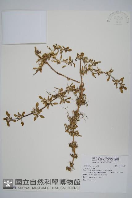 登錄號:S106589藏品圖，第1張