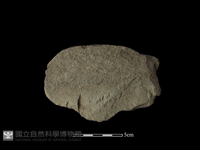 打製石刀藏品圖，第2張