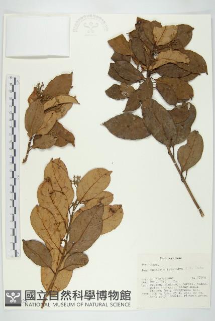 登錄號:S047028藏品圖，第1張