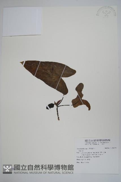 登錄號:S106728藏品圖，第1張