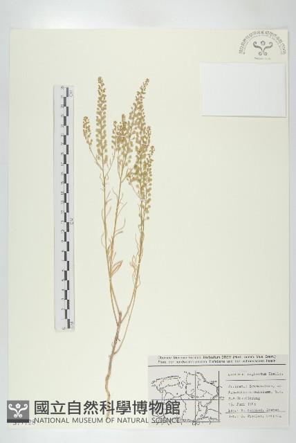 登錄號:S077728藏品圖，第1張