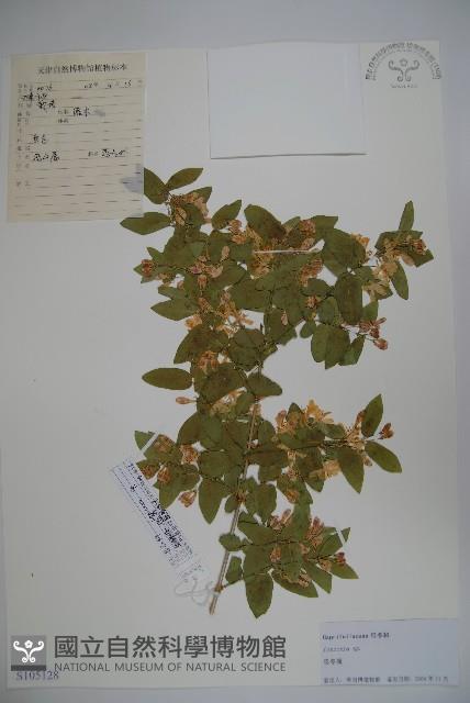 登錄號:S105128藏品圖，第1張