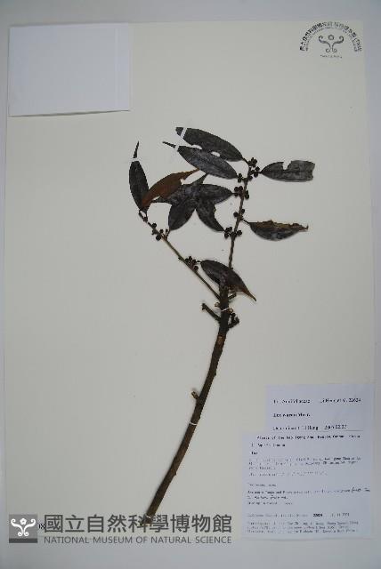 登錄號:S106208藏品圖，第1張