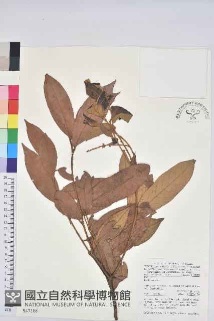 登錄號:S047108藏品圖，第1張