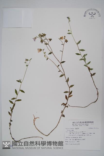 登錄號:S115908藏品圖，第1張