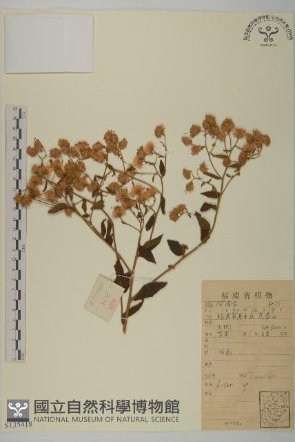 登錄號:S135418藏品圖，第1張