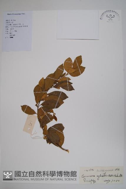 Accession Number:S127518 Collection Image, Figure 1, Total 2 Figures