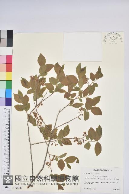 登錄號:S077518藏品圖，第1張