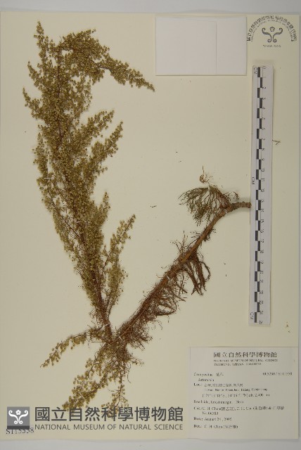 登錄號:S115558藏品圖，第1張