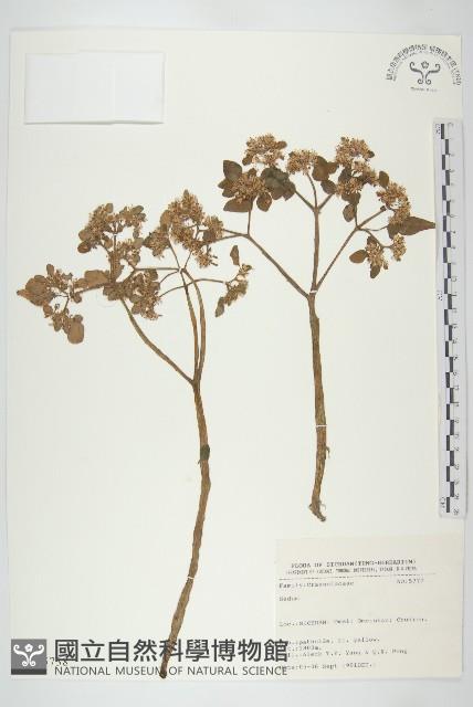 登錄號:S025738藏品圖，第1張